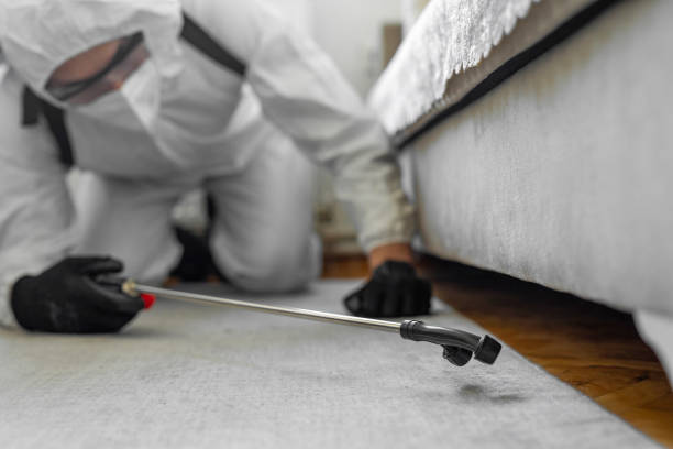 Professional Termite Control technician working in Haskell County County, TX